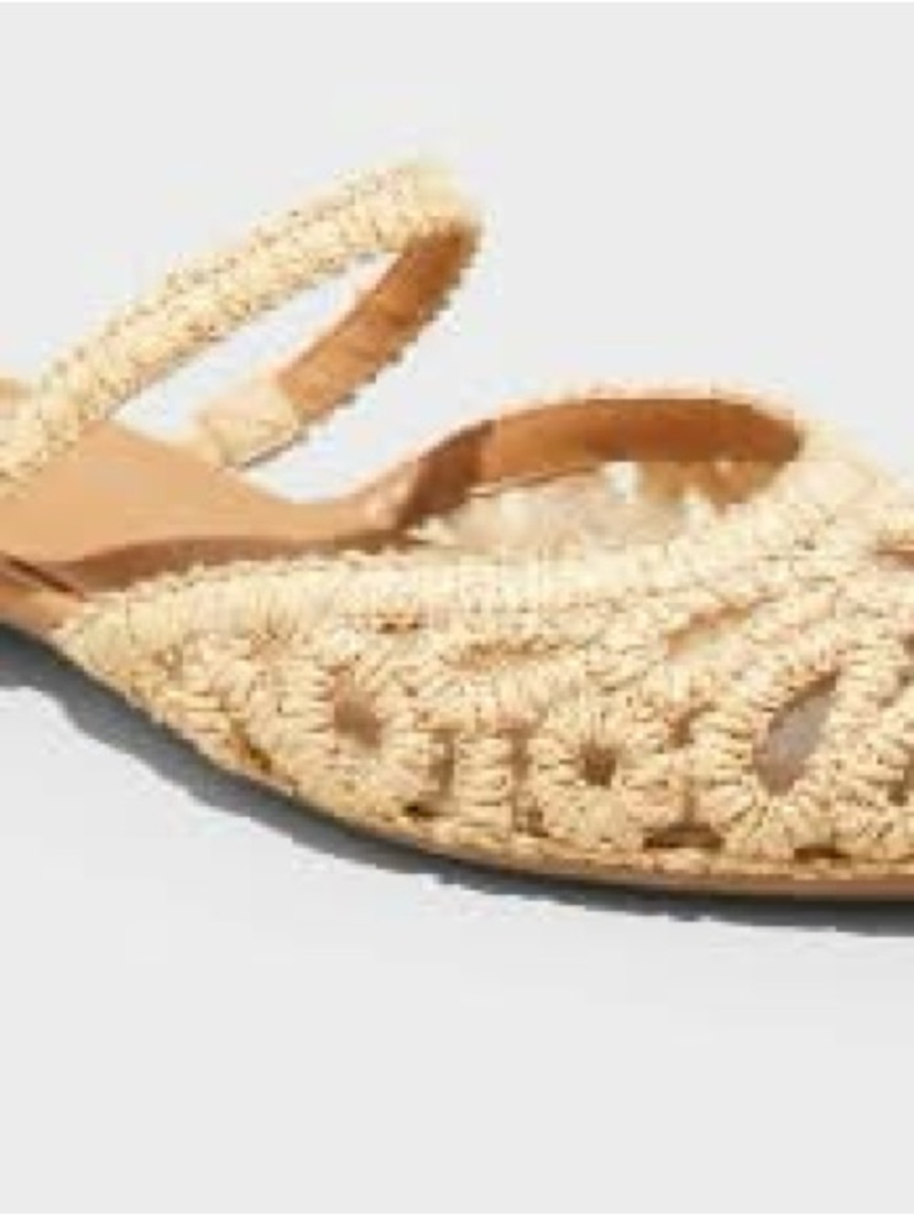 A New Day Pointed Toe Vienna Raffia Woven Mule